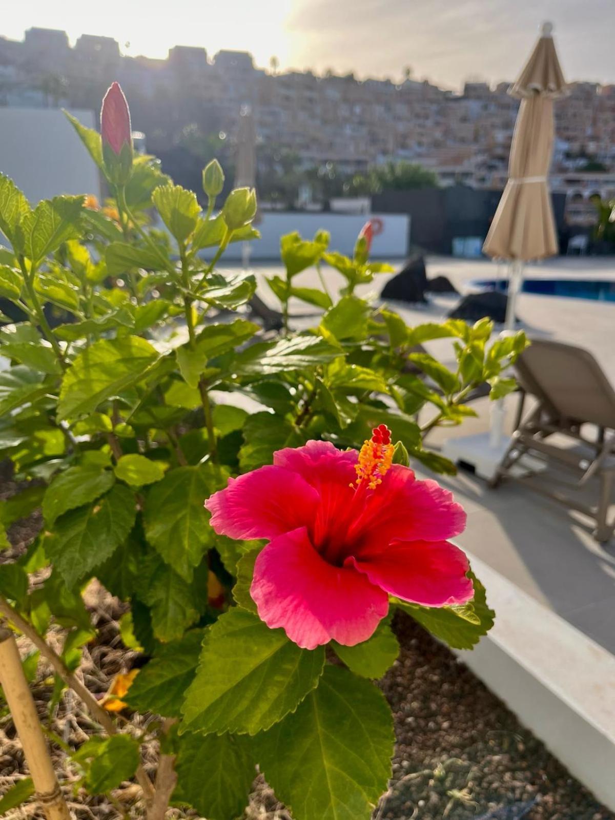 Aparthotel Costa Adeje Garden 3*