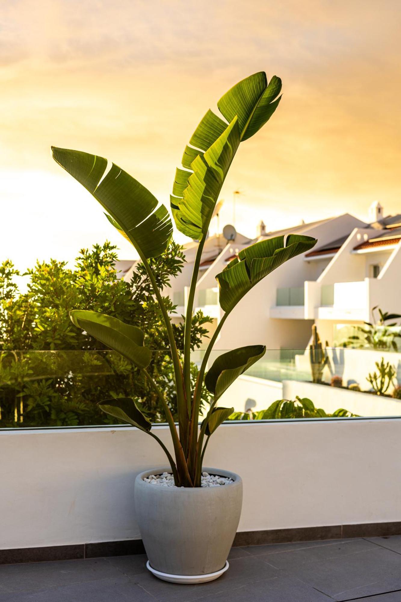 Costa Adeje Garden 3*